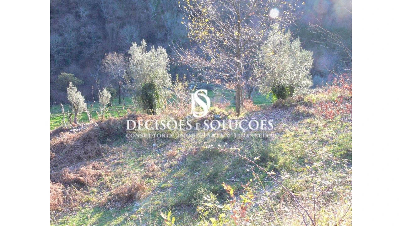 Terreno para Venda em Ventosa e Cova Foto 5