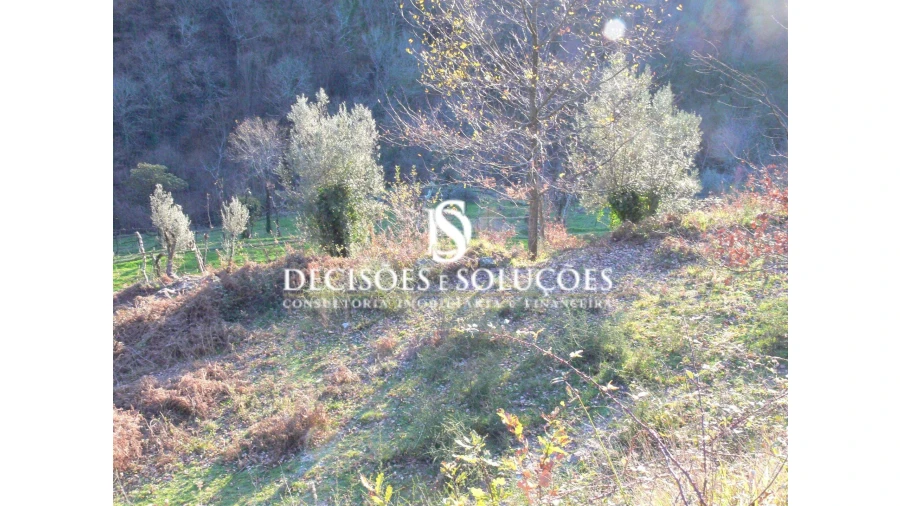 Terreno para Venda em Ventosa e Cova Foto 5