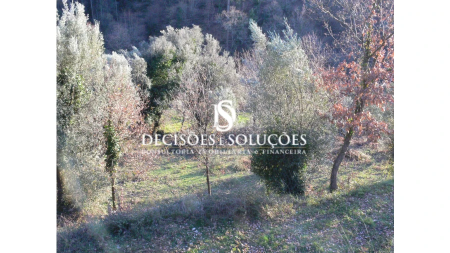 Terreno para Venda em Ventosa e Cova Foto 2