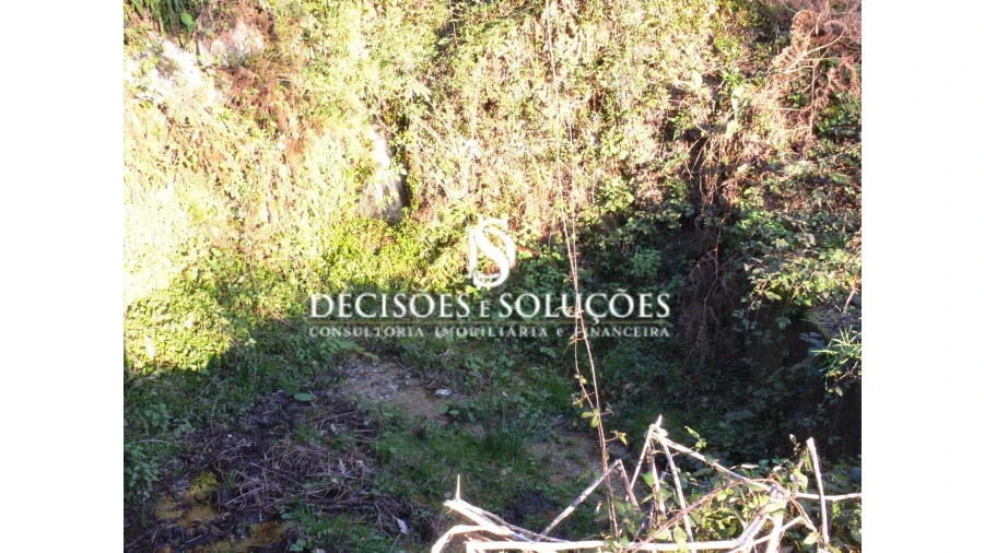 Terreno para Venda em Ventosa e Cova Foto 6