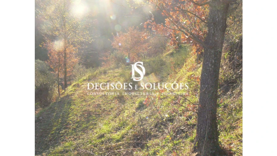 Terreno para Venda em Ventosa e Cova Foto 1