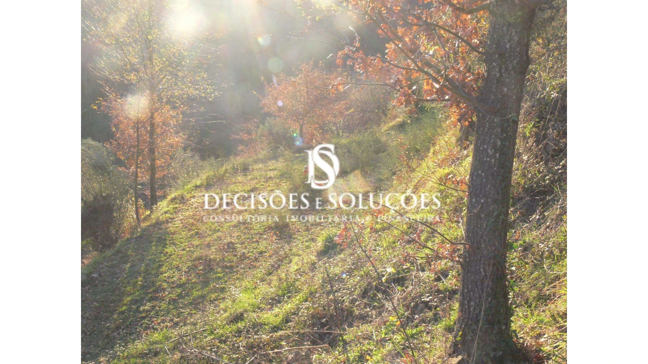 Terreno para Venda em Ventosa e Cova Foto 1