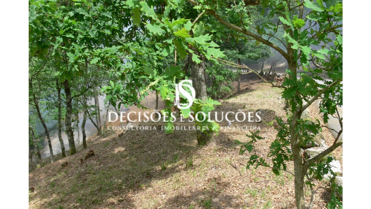 Terreno para Venda em Salamonde Foto 10