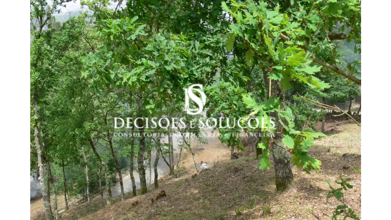 Terreno para Venda em Salamonde Foto 11