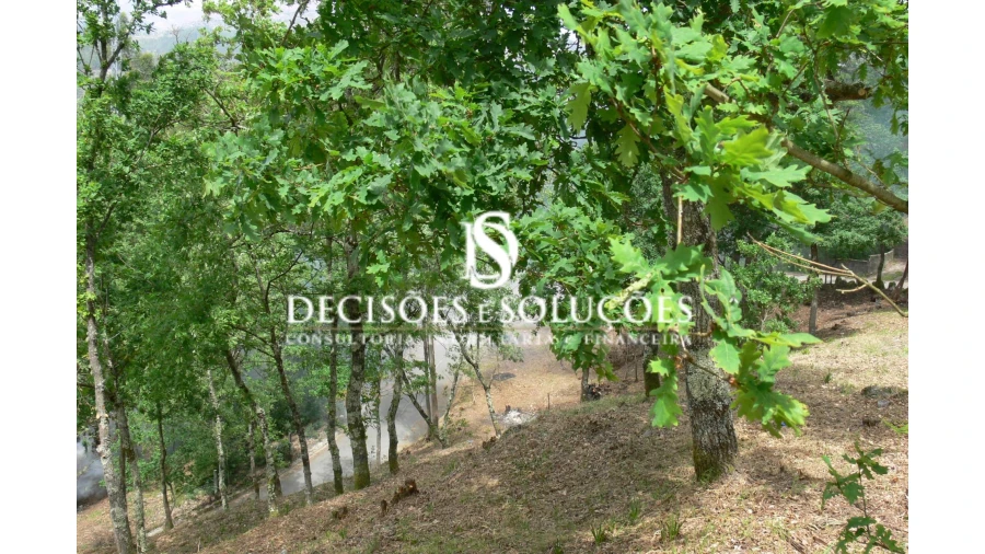 Terreno para Venda em Salamonde Foto 11