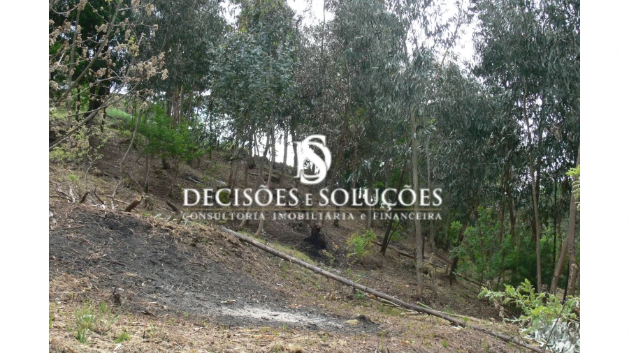 Terreno para Venda em Salamonde Foto 5