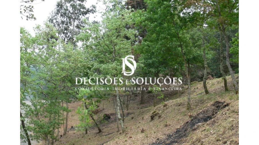 Terreno para Venda em Salamonde Foto 7