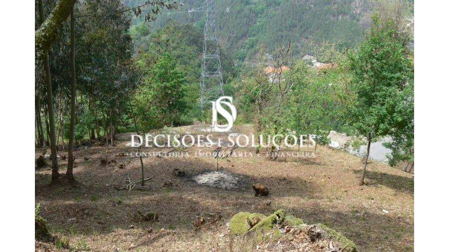 Terreno para Venda em Salamonde Foto 9