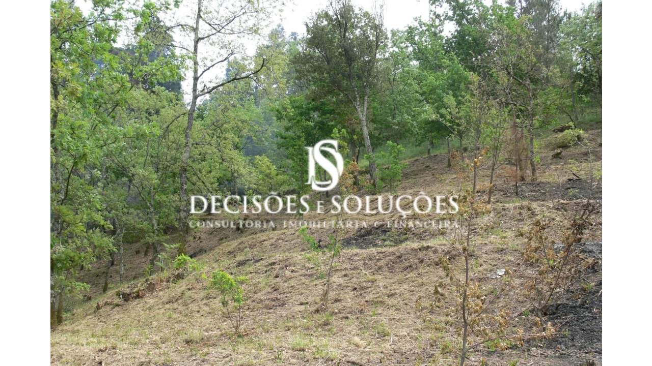 Terreno para Venda em Salamonde Foto 4