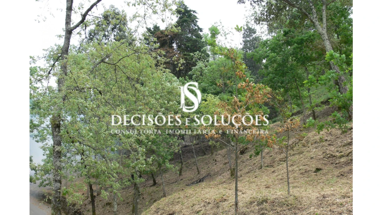 Terreno para Venda em Salamonde Foto 6