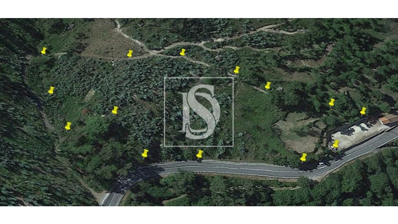 Terreno para Venda em Ventosa e Cova Foto 6