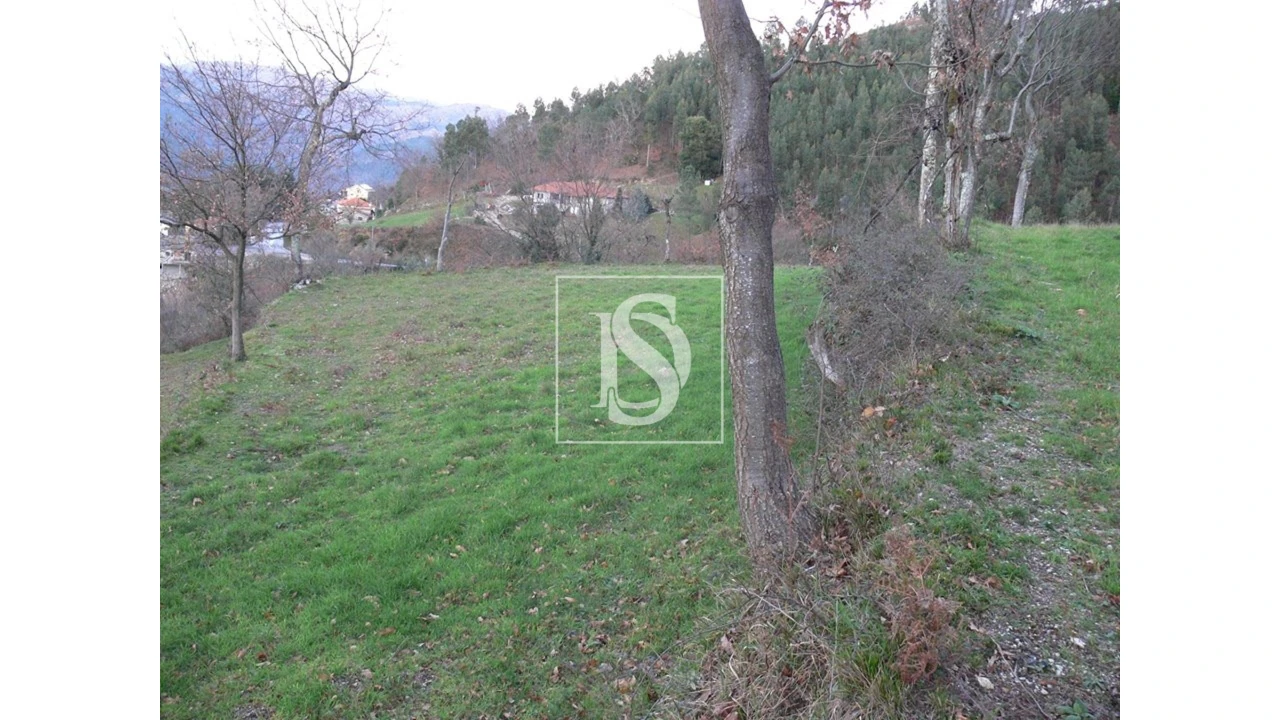 Terreno para Venda em Ventosa e Cova Foto 2