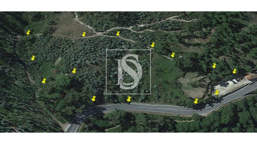 Terreno para Venda em Ventosa e Cova Foto 6