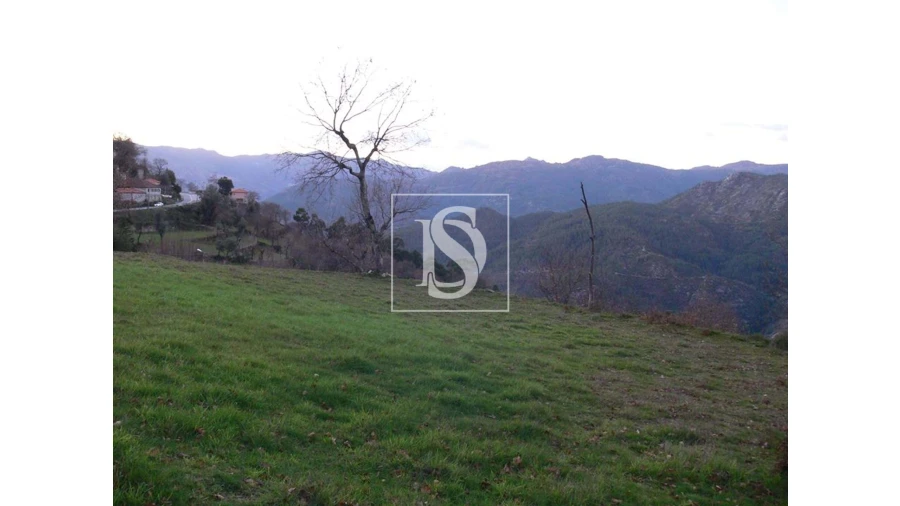 Terreno para Venda em Ventosa e Cova Foto 1