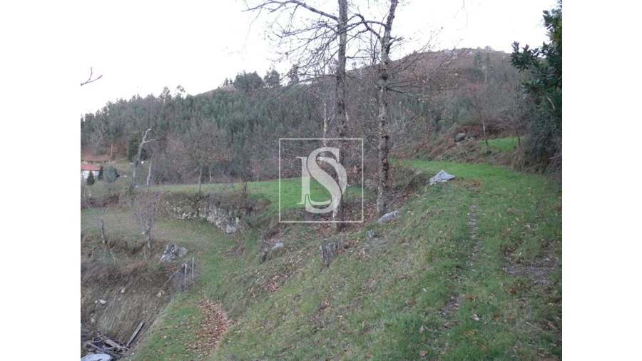 Terreno para Venda em Ventosa e Cova Foto 8