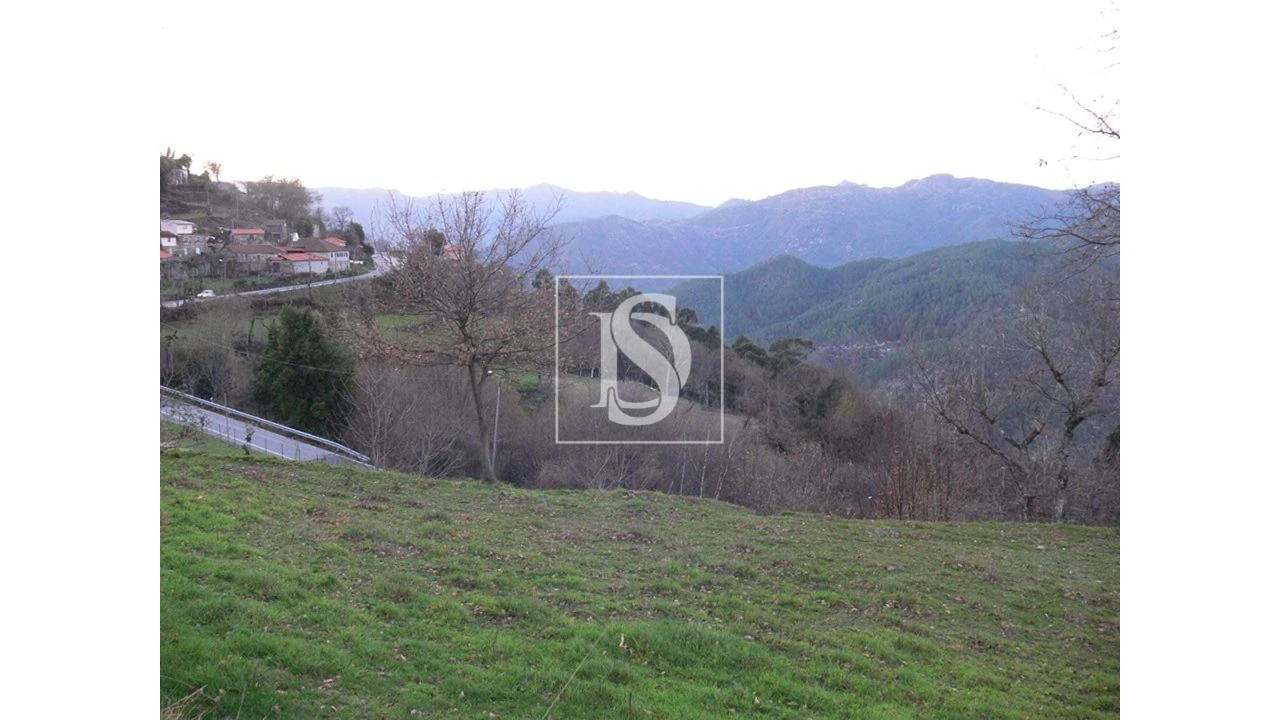 Terreno para Venda em Ventosa e Cova Foto 4