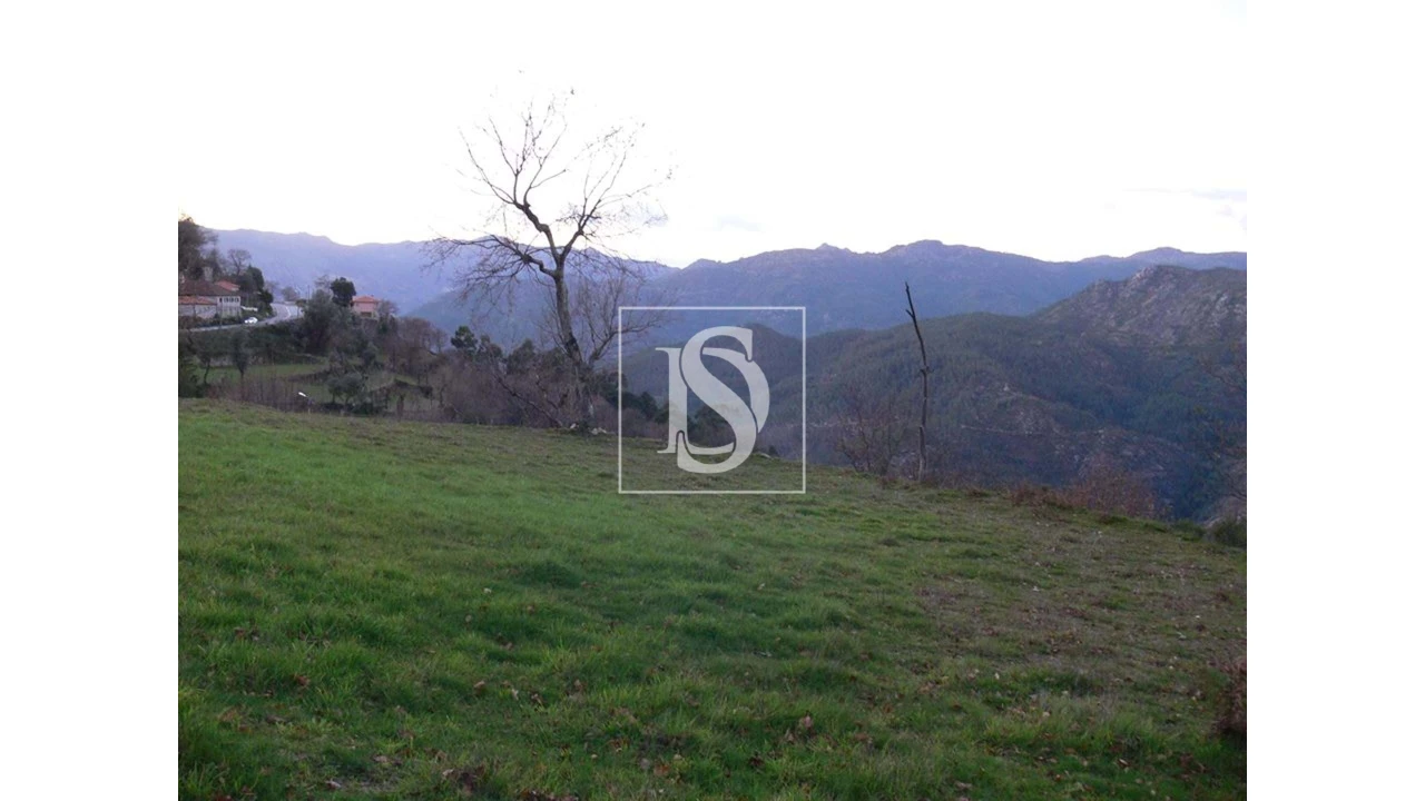 Terreno para Venda em Ventosa e Cova Foto 3