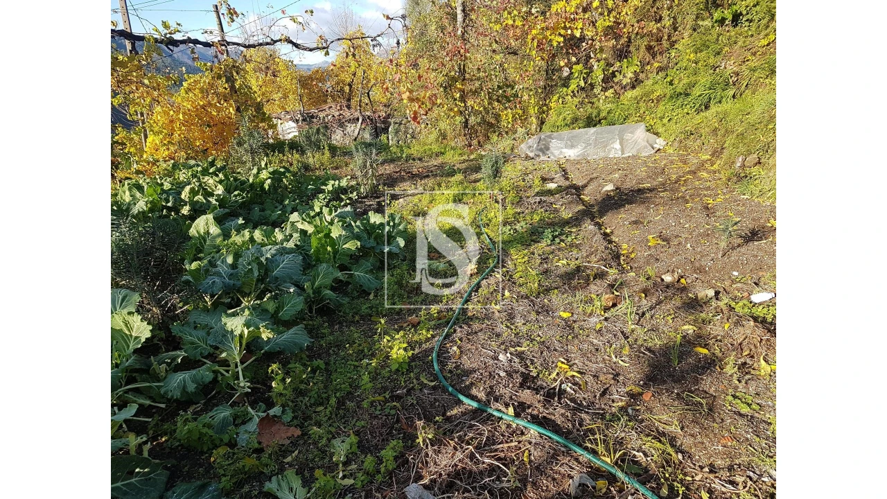 Terreno para Venda em Caniçada e Soengas Foto 4