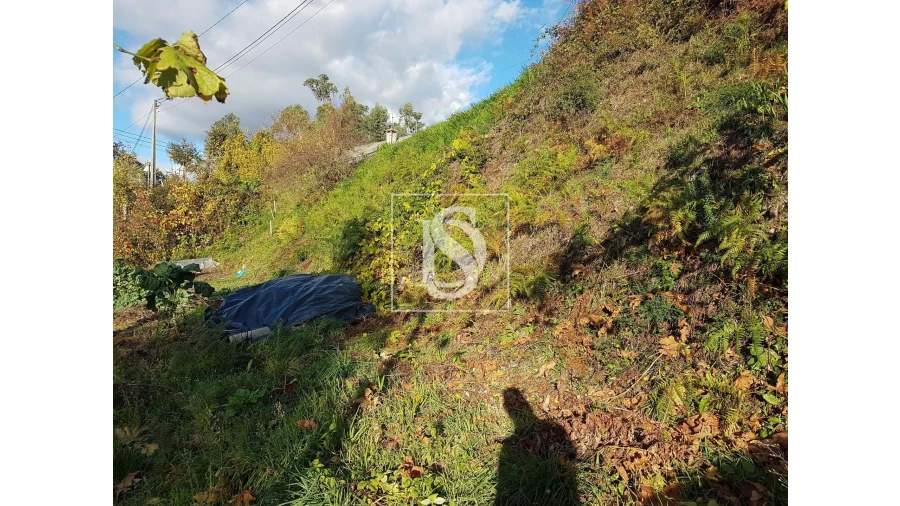 Terreno para Venda em Caniçada e Soengas Foto 7