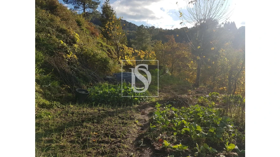 Terreno para Venda em Caniçada e Soengas Foto 5
