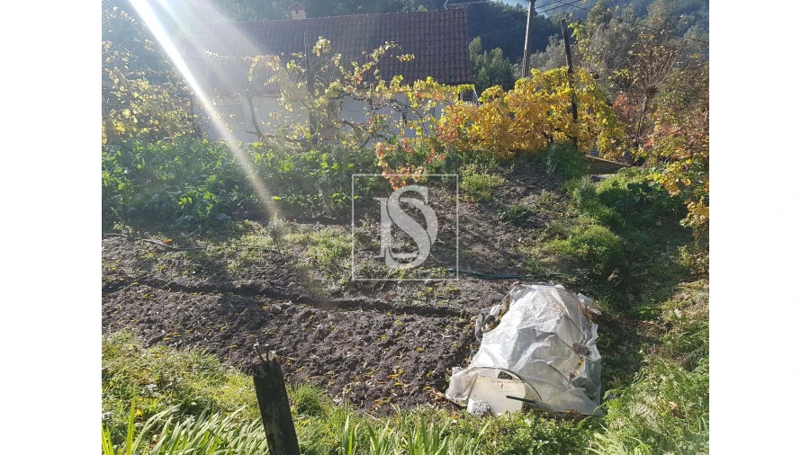 Terreno para Venda em Caniçada e Soengas