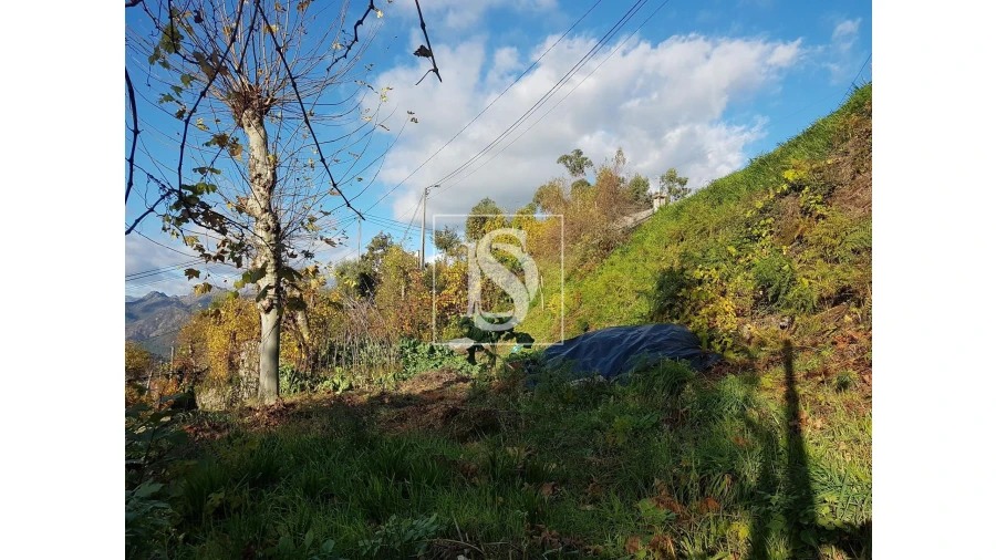 Terreno para Venda em Caniçada e Soengas Foto 8