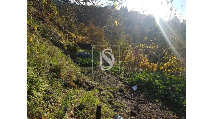 Terreno para Venda em Caniçada e Soengas Foto 3