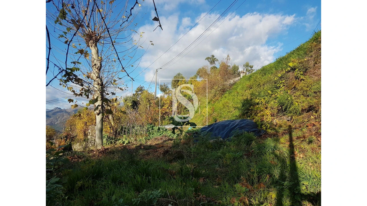 Terreno para Venda em Caniçada e Soengas Foto 8