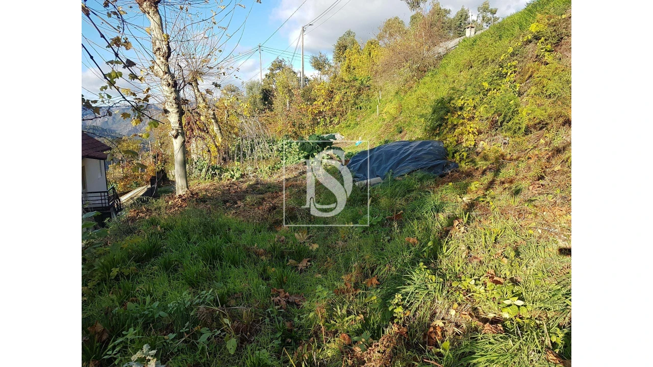 Terreno para Venda em Caniçada e Soengas Foto 6