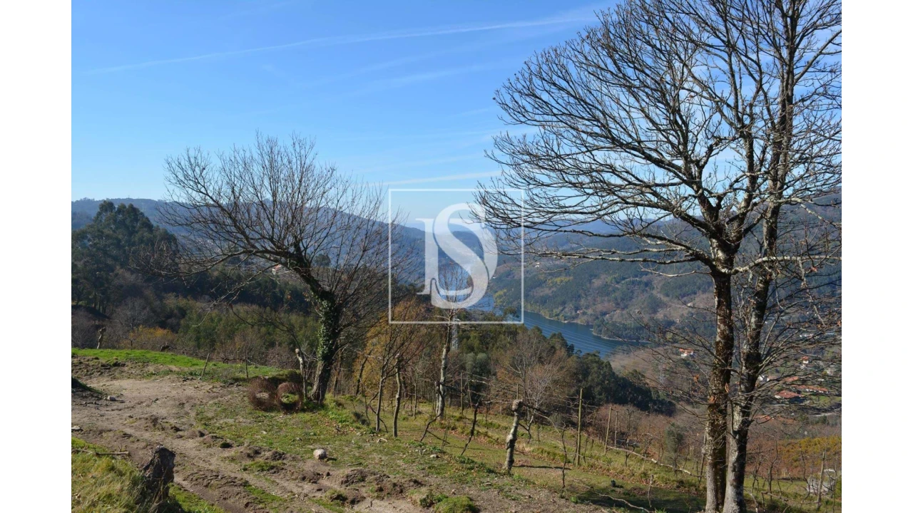 Terreno para Venda em Caniçada e Soengas Foto 7