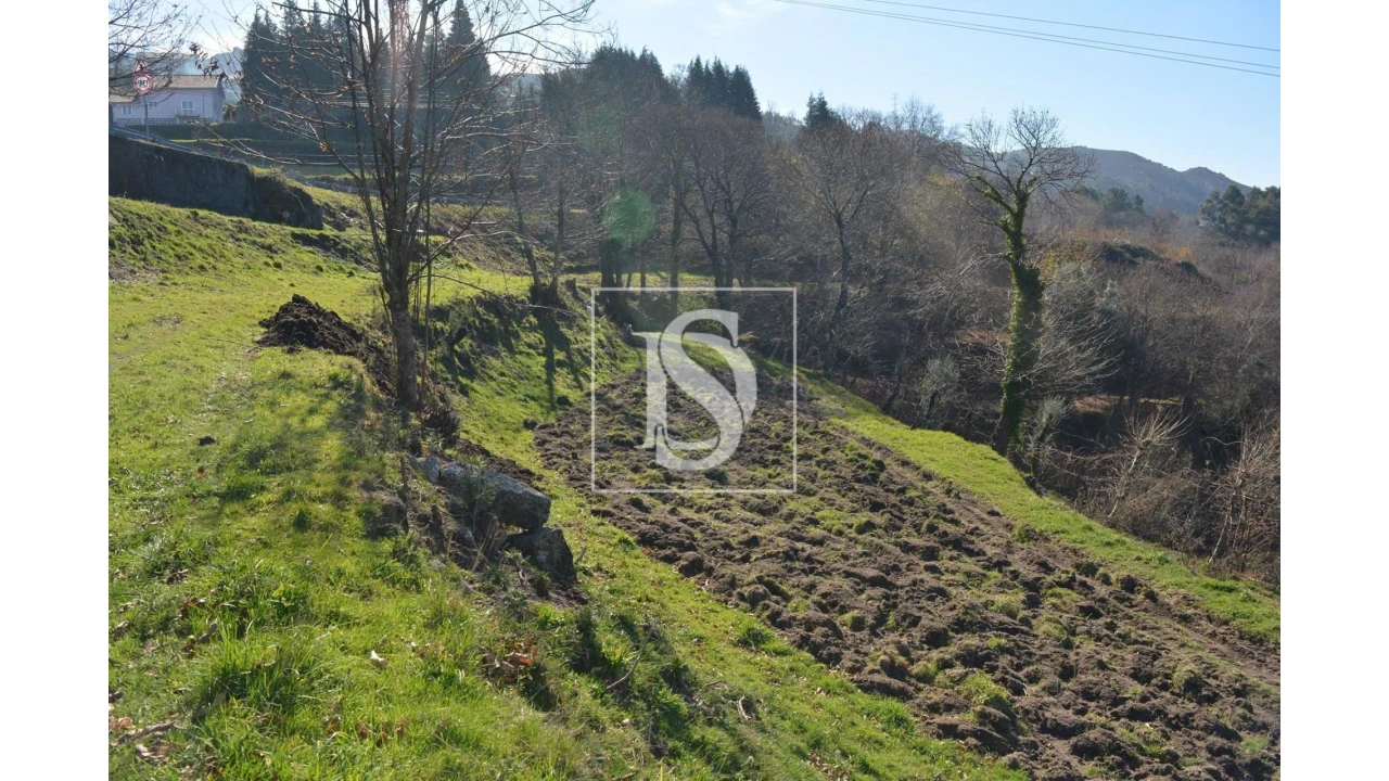 Terreno para Venda em Caniçada e Soengas Foto 5