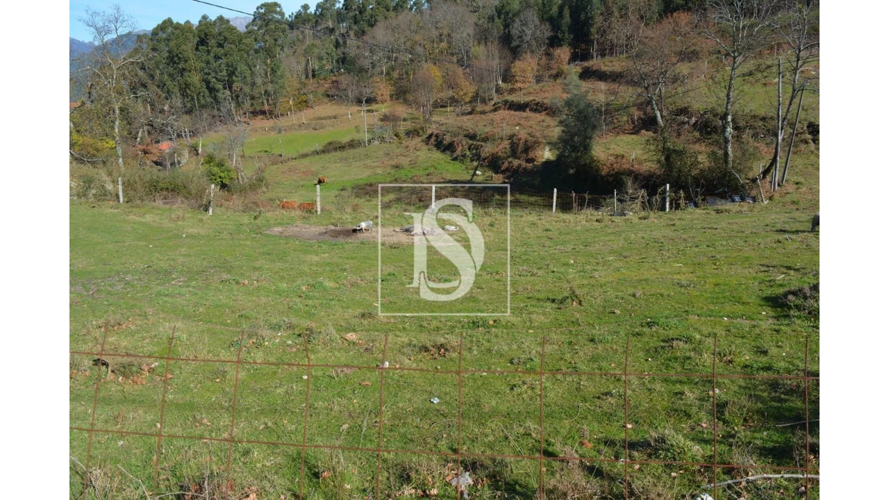Terreno para Venda em Caniçada e Soengas Foto 2