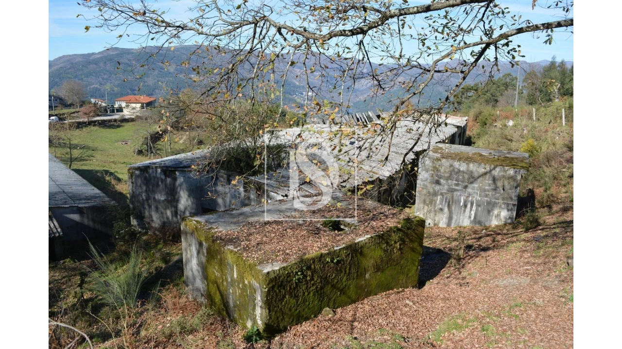 Terreno para Venda em Caniçada e Soengas Foto 5