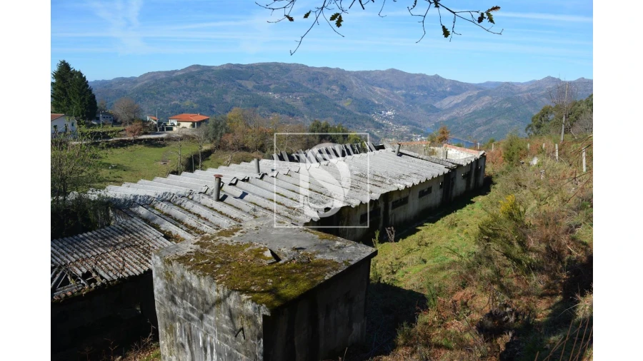 Terreno para Venda em Caniçada e Soengas Foto 7