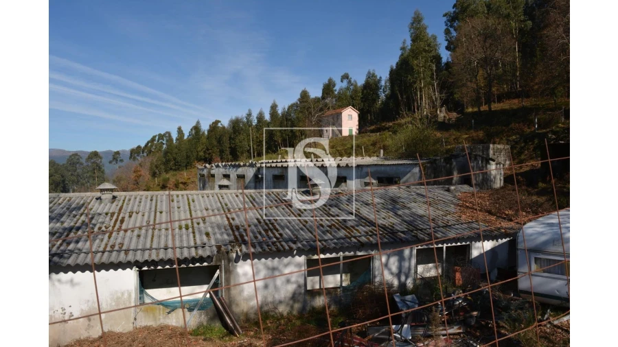 Terreno para Venda em Caniçada e Soengas Foto 4