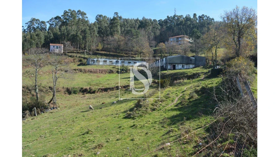Terreno para Venda em Caniçada e Soengas Foto 8