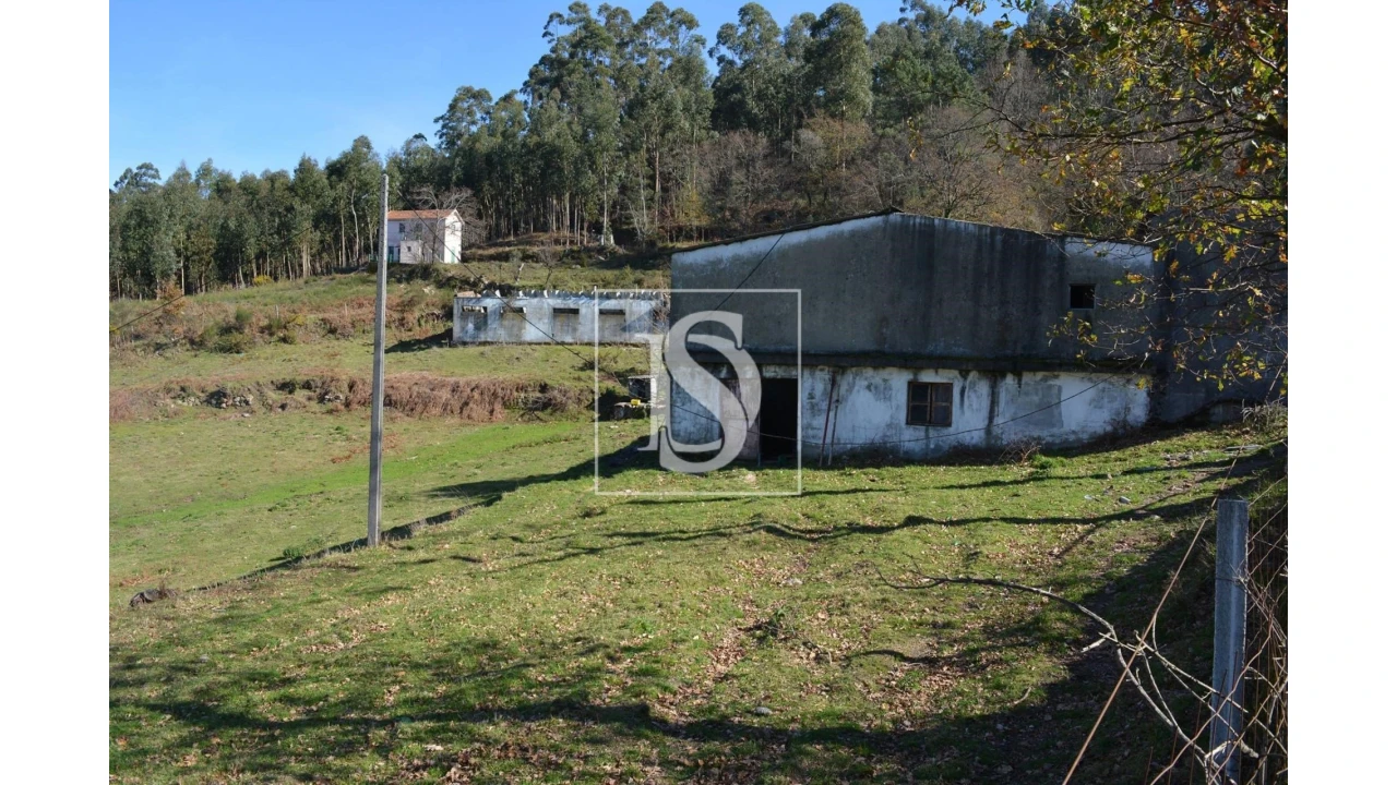 Terreno para Venda em Caniçada e Soengas Foto 10