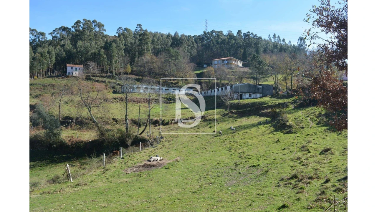 Terreno para Venda em Caniçada e Soengas Foto 6