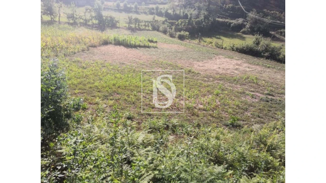 Terreno para Venda em Rossas Foto 12