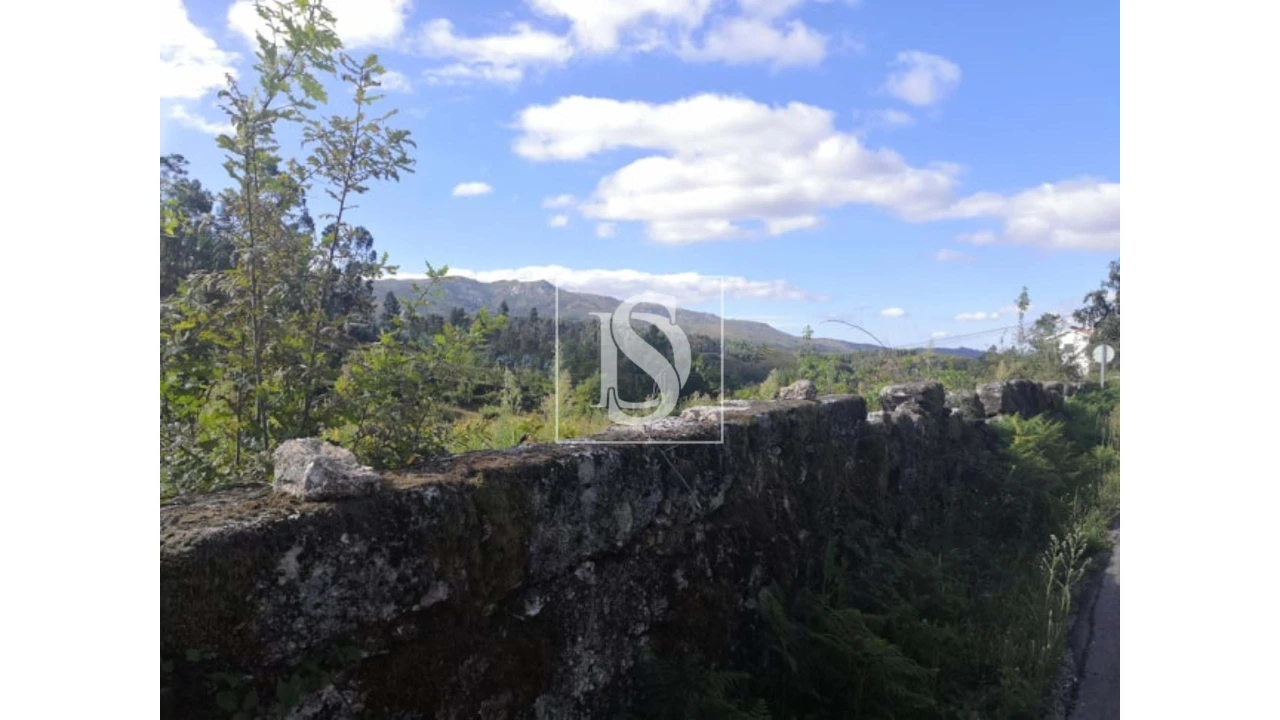 Terreno para Venda em Rossas Foto 2