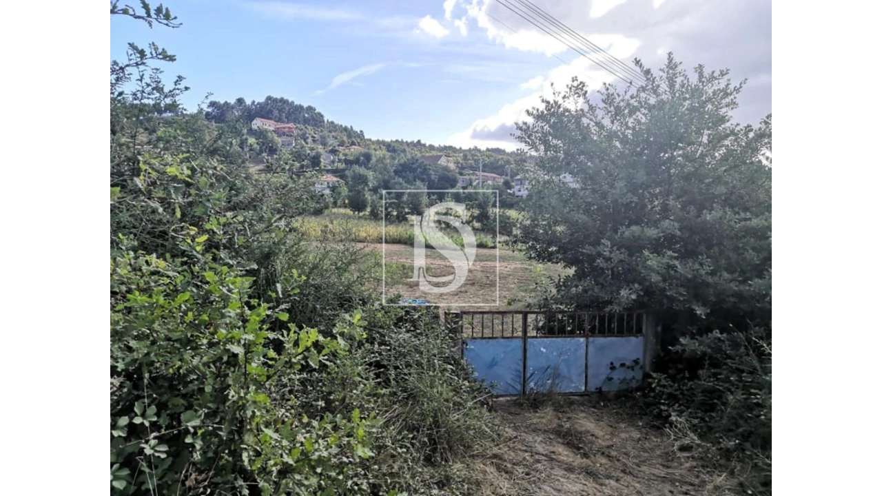 Terreno para Venda em Rossas Foto 3