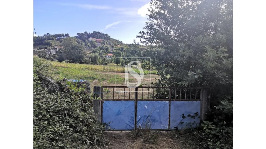 Terreno para Venda em Rossas Foto 10