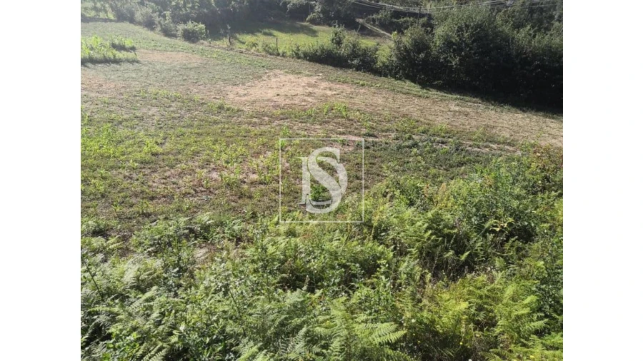 Terreno para Venda em Rossas Foto 7