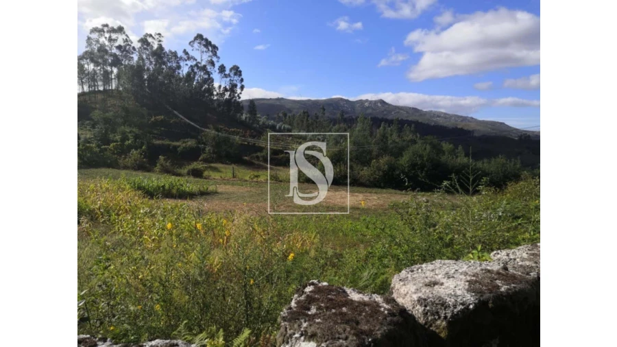 Terreno para Venda em Rossas Foto 21