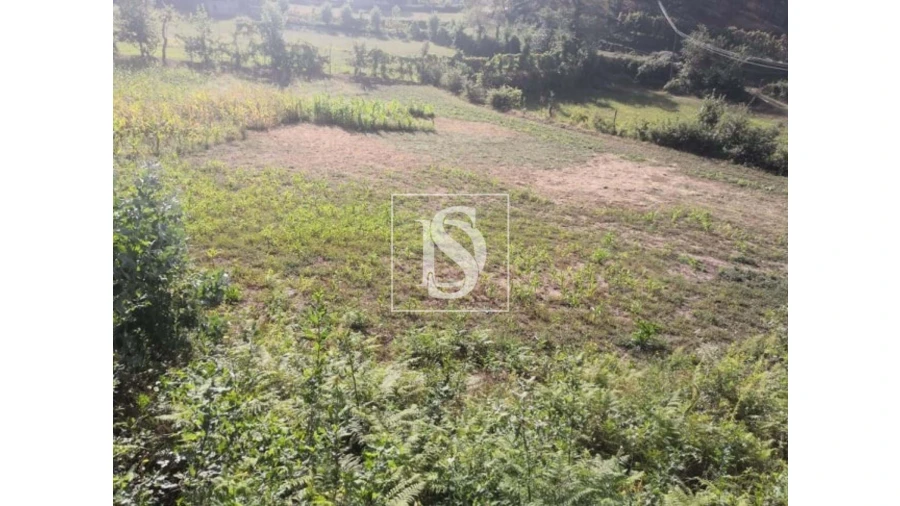 Terreno para Venda em Rossas Foto 12