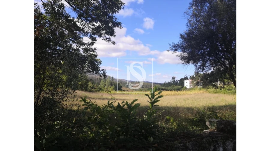 Terreno para Venda em Rossas Foto 1