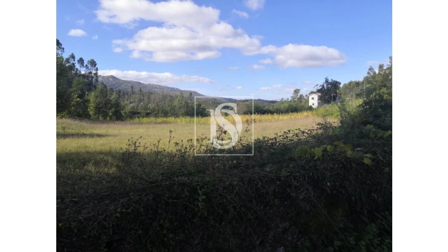 Terreno para Venda em Rossas Foto 9