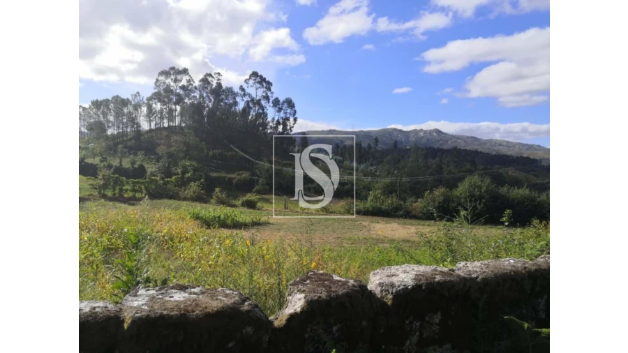 Terreno para Venda em Rossas Foto 19