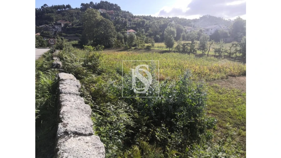 Terreno para Venda em Rossas Foto 8