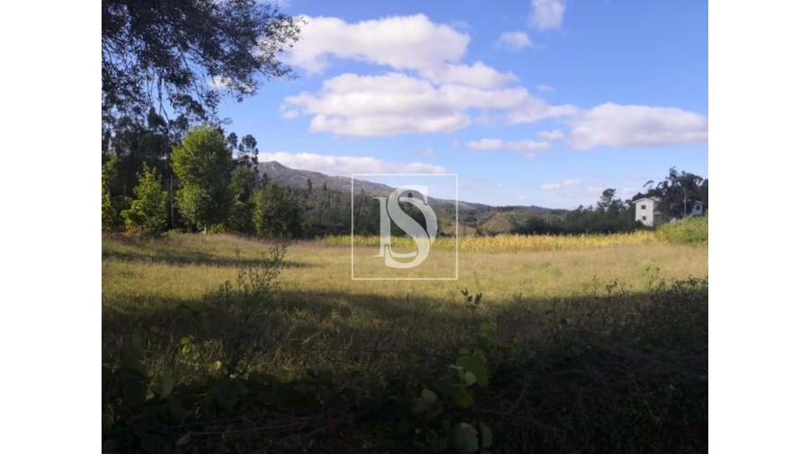 Terreno para Venda em Rossas Foto 11